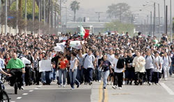 School walkouts.