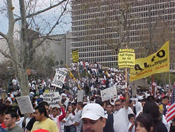 QUE BONITO: TIERRA Y LIBERTAD! on one of the signs. (Land and Liberty, the cry of Emiliano Zapata, a Mexican hero.)