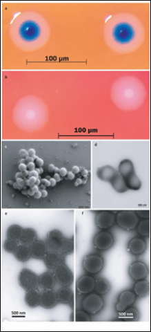 World's first synthetic cells: J Craig Venter Institute (JCVI) via BBC News World's first synthetic cells: J Craig Venter Institute (JCVI) via BBC News
